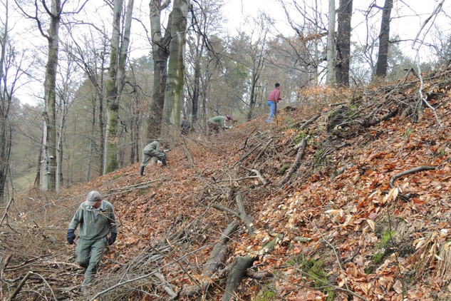 Zámecký park v Hradci nad Moravicí bylo nutné nejprve zbavit náletové zeleně