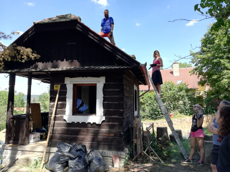 1. Srub před transferem na původním stanovišti